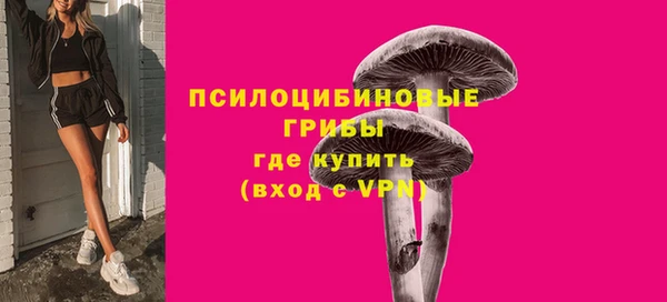 spice Верхний Тагил