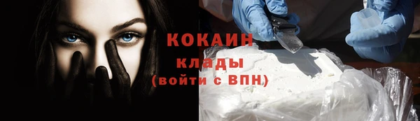 бошки Снежинск