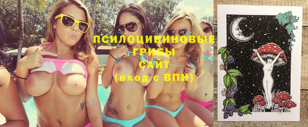 spice Верхний Тагил