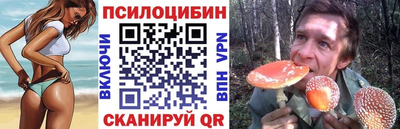 kraken ссылки  где купить наркоту  маркетплейс официальный сайт  Псилоцибиновые грибы Cubensis  Кимовск 