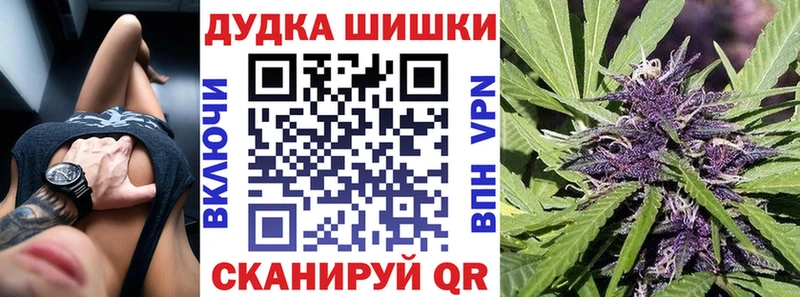 Бошки Шишки сатива  как найти закладки  Кимовск 